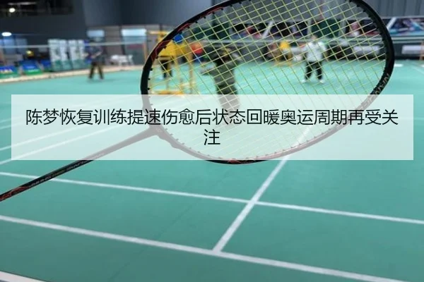 陈梦恢复训练提速伤愈后状态回暖奥运周期再受关注