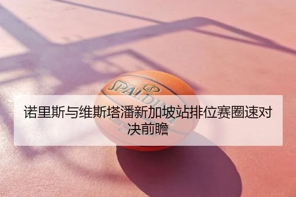 诺里斯与维斯塔潘新加坡站排位赛圈速对决前瞻